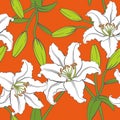 Vector Lily Seamless Pattern in Orange Background