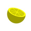 Vector lime of citrus fruits in the section