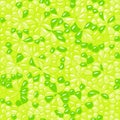 Vector Lime fruit texture seamless pattern