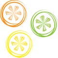 vector lime, lemon, grapefruit and orange slices isolated on white background. tropical fruit symbols, organic food Royalty Free Stock Photo