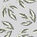 Vector Lime Nerves Variegated Spathiphyllum Leaves on Gray seamless pattern background. Perfect for fabric, scrapbooking