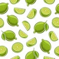 Vector Lime Seamless Pattern Royalty Free Stock Photo