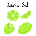 Vector lime set isolated on white background.