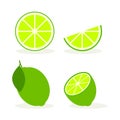 Vector lime slice green illustration lemon Royalty Free Stock Photo