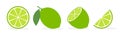 Vector lime slice green illustration lemon isolated half fruit lime. Fresh green cut citrus icon Royalty Free Stock Photo