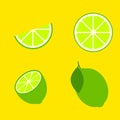 Vector lime slice green illustration lemon Royalty Free Stock Photo