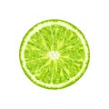 Vector lime slice. Illustration of citrus