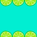 Vector limes frame, summer design Royalty Free Stock Photo