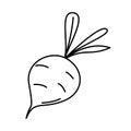 Vector line art beetroot icon. Isolated vegetable silhouette in cartoon style. Food pictogram for coloring Royalty Free Stock Photo