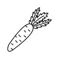 Vector line art carrot icon. Isolated vegetable silhouette in cartoon style. Flat food picrogram for coloring Royalty Free Stock Photo