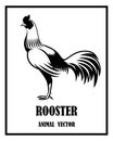 Rooster animal vector logo eps 10