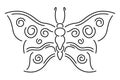Vector line art with isolated vintage butterfly Royalty Free Stock Photo