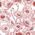 Seamless pattern. California poppy flowers drawn and sketch with line-art on white backgrounds. Vector design Royalty Free Stock Photo