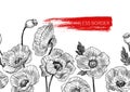 Seamless border poppy flowers drawn and sketch with line-art on white backgrounds. Vector design