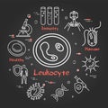 Vector black concept of bacteria and viruses - leukocyte icon Royalty Free Stock Photo