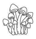 Honey fungus. Edible mushrooms. Armillaria mushrooms. Agaric honey. Vector line. Editable outline stroke.