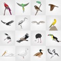 Vector line flat stylized bird set