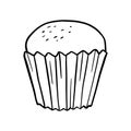 Vector line muffin. Baked snack in doodle style.