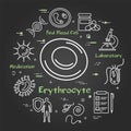 Vector black concept of bacteria and viruses - erythrocyte icon Royalty Free Stock Photo