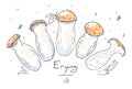 Vector linear doodle set of Asian mushrooms Ering