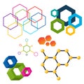 Vector linear hexagon design elements different honeycombs abstract geometric modern business technologies.