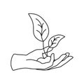 Vector linear icon - human hand holding growing plant isolated on white background. Concept emblem or logo design Royalty Free Stock Photo