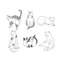 Vector linear illustration set of adorable catsn in different poses sleeping, stretching itself, playing. Cats breeds.