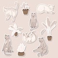 Vector linear illustration set of adorable catsn in different poses sleeping, stretching itself, playing. Cats breeds.