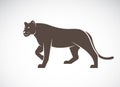 Vector of a lion female on white background. Royalty Free Stock Photo