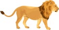 Vector lion - Panthera leo