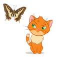 Vector little kitten with beauty butterfly