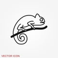 Vector Lizard icon on white background, Vector gecko