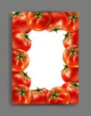 Vector lliustration with realistic tomatoes with frame