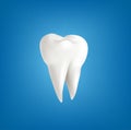 Vector lliustration with realistic tooth, on blue backg