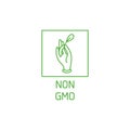 Vector logo, badge and icon for natural and organic products. Non GMO sign design. Symbol of healthy product.