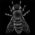 The Vector logo bee for T-shirt design or outwear.