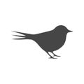 Vector Logo birds in flight Royalty Free Stock Photo