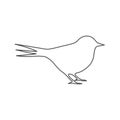 Vector Logo birds in flight Royalty Free Stock Photo