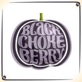 Vector logo for Black Chokeberry