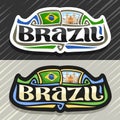 Vector logo for Brazil Royalty Free Stock Photo