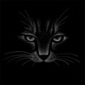 The Vector logo cat for tattoo or T-shirt design or outwear.  Cute print style cat background. Royalty Free Stock Photo