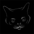 The Vector logo cat for tattoo or T-shirt design