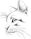 The Vector logo cat for tattoo or T-shirt design or outwear. Cute print style cat background. This drawing would be nice to make