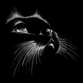 The Vector logo cat for tattoo or T-shirt design or outwear. Cute print style cat background.