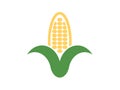 Vector logo corn on white background Royalty Free Stock Photo