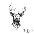 The Vector logo deer for T-shirt design