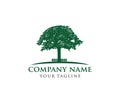 Vector logo design illustration of oak tree logo, wise and strong Royalty Free Stock Photo