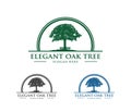 Vector logo design illustration of oak tree logo, wise and strong, house property firm, green home stay resort Royalty Free Stock Photo