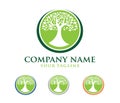 Vector logo design illustration of oak tree logo, wise and strong, house property firm, green home stay resort