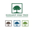 Vector logo design illustration of oak tree logo, wise and strong, house property firm, green home stay resort Royalty Free Stock Photo